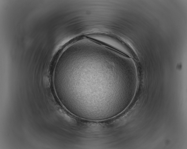 X0000094791018200711241357