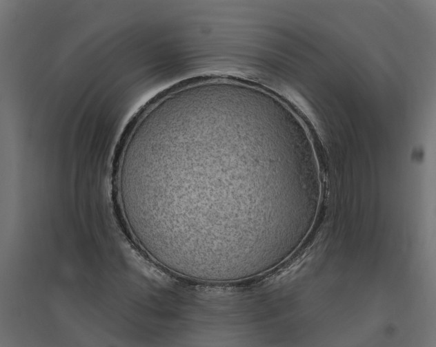 X0000094791020200711241357