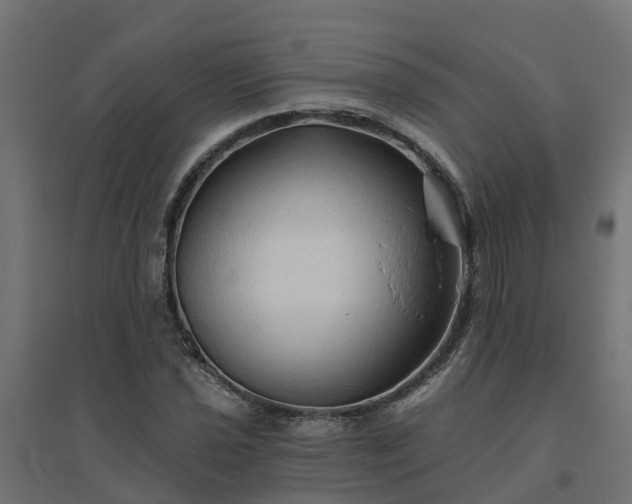 X0000094791021200711241357