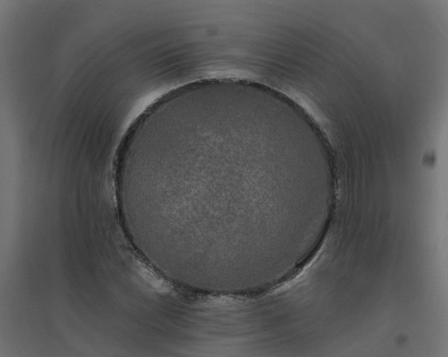 X0000094791022200711241357