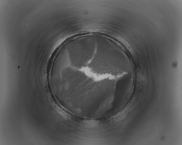 X0000094791023200711241357