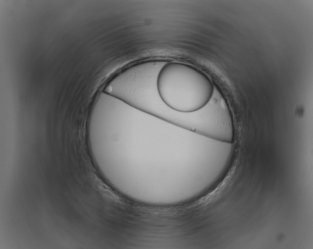 X0000094791025200711241357