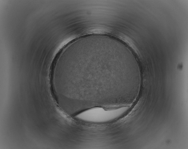 X0000094791026200711241357