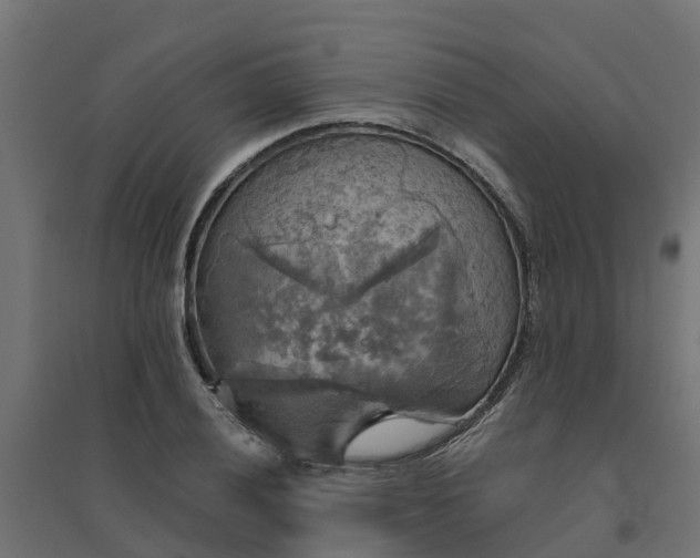 X0000094791028200711241357