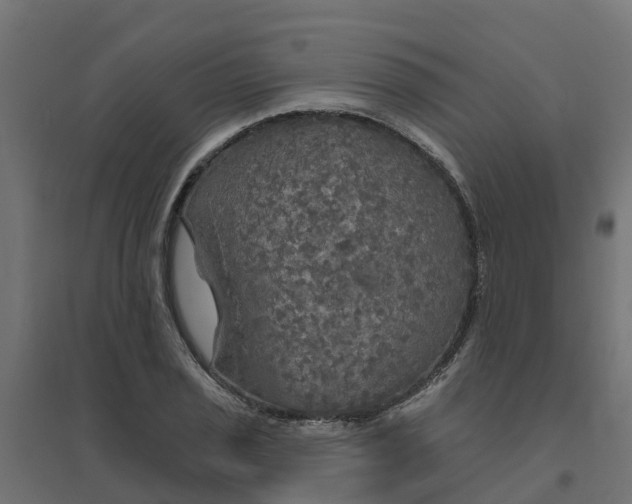 X0000094791029200711241357