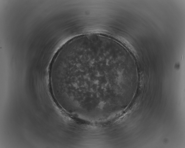 X0000094791031200711241357