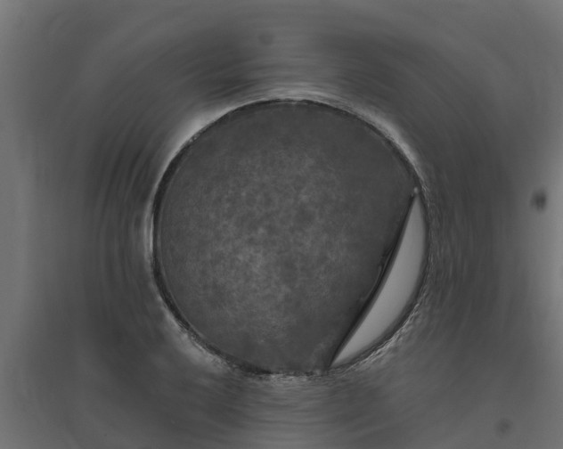 X0000094791032200711241357