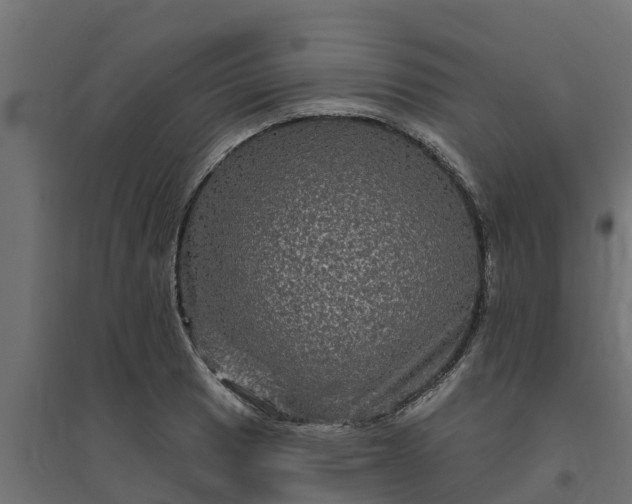 X0000094791033200711241357