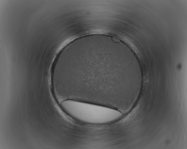 X0000094791034200711241357