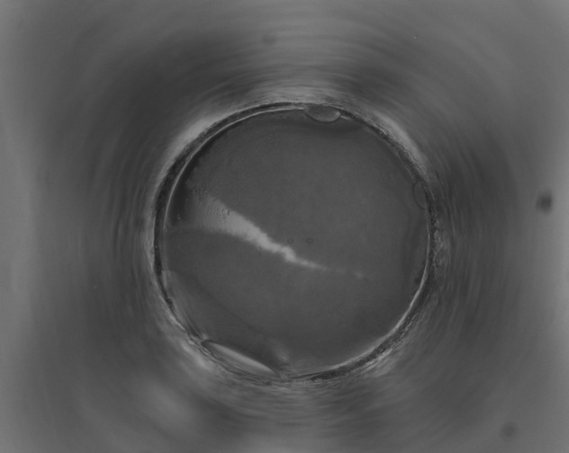 X0000094791035200711241357