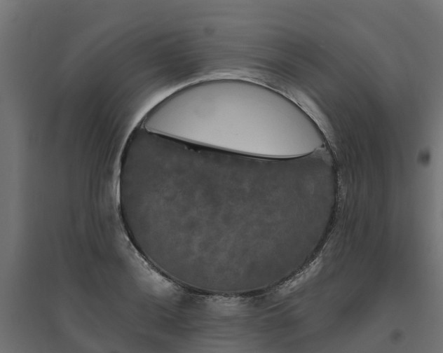 X0000094791036200711241357