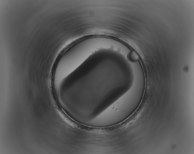 X0000094791037200711241357