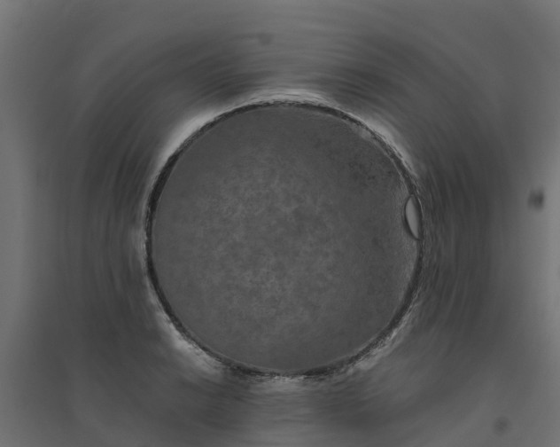 X0000094791038200711241357