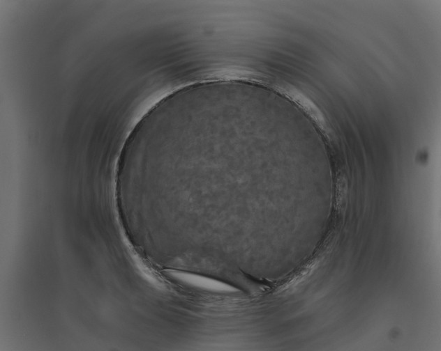 X0000094791039200711241357