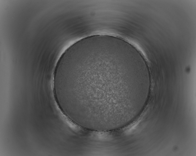 X0000094791040200711241357