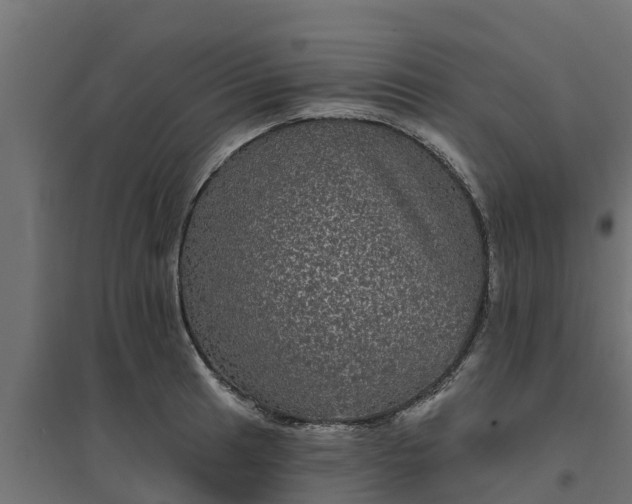 X0000094791041200711241357