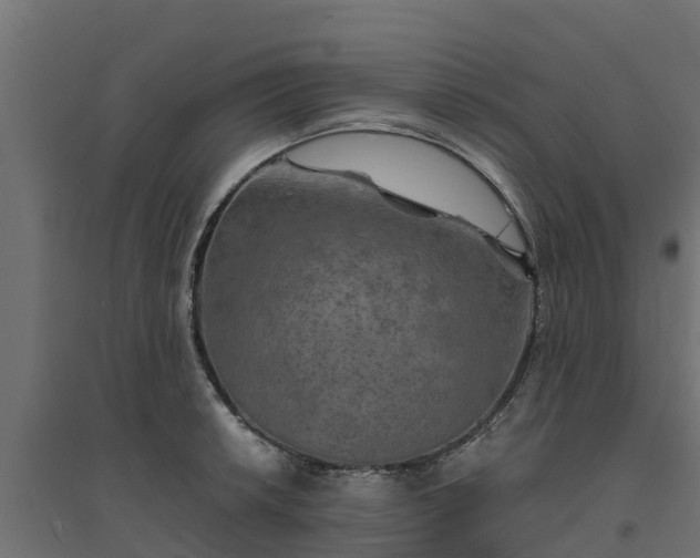 X0000094791042200711241357