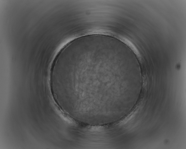 X0000094791043200711241357