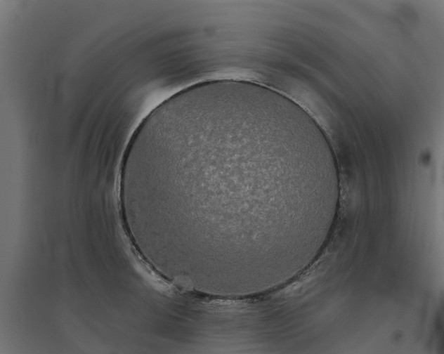 X0000094791044200711241357