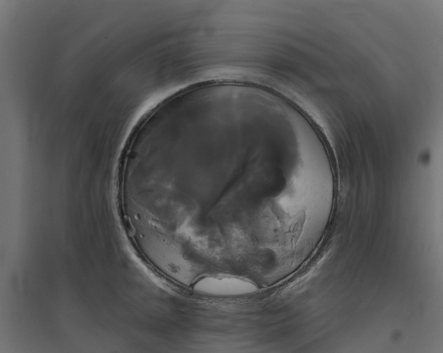 X0000094791045200711241357