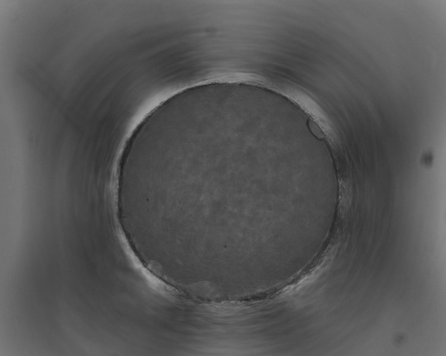 X0000094791046200711241357