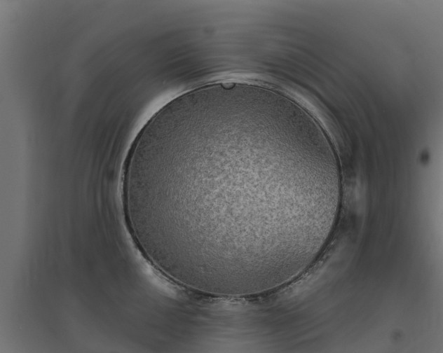 X0000094791050200711241357