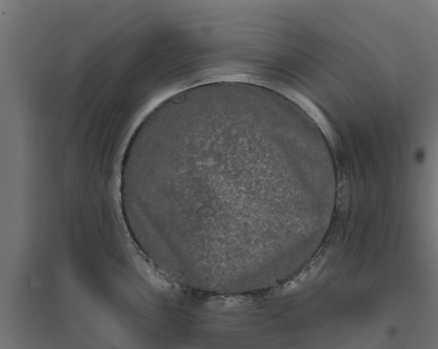 X0000094791051200711241357