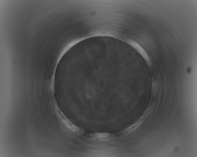 X0000094791052200711241357