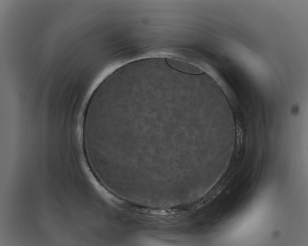 X0000094791054200711241357