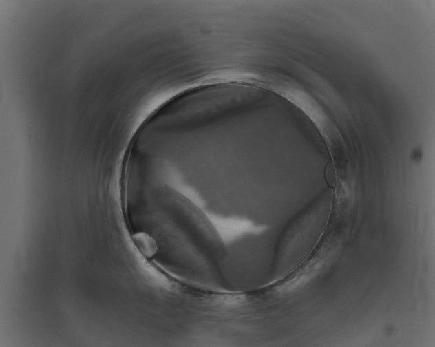 X0000094791055200711241357