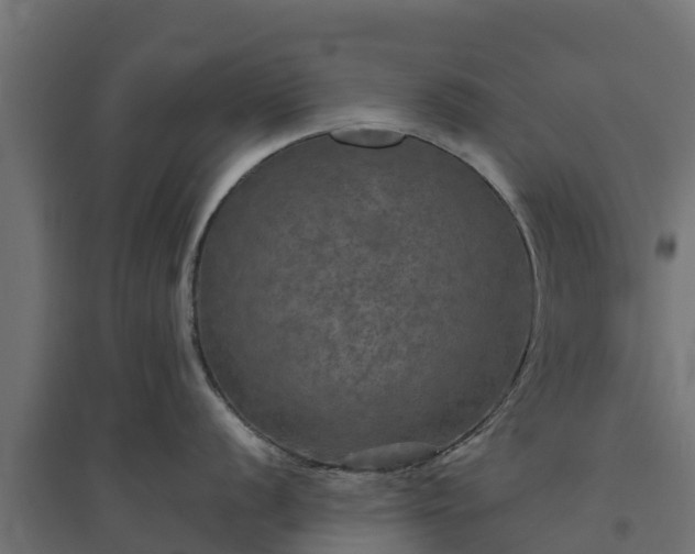 X0000094791056200711241357