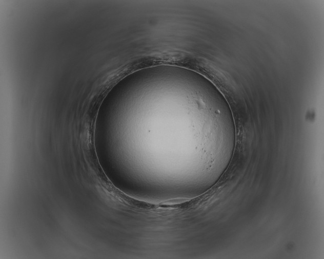 X0000094791058200711241357