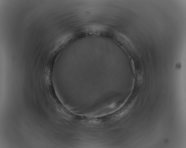 X0000094791060200711241357