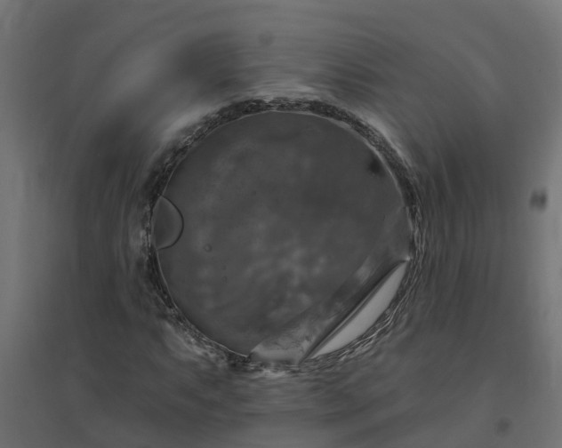 X0000094791063200711241357