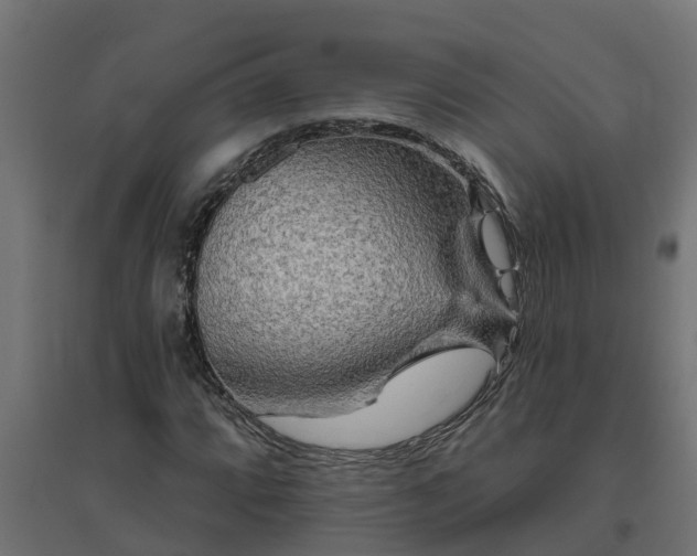 X0000094791064200711241357