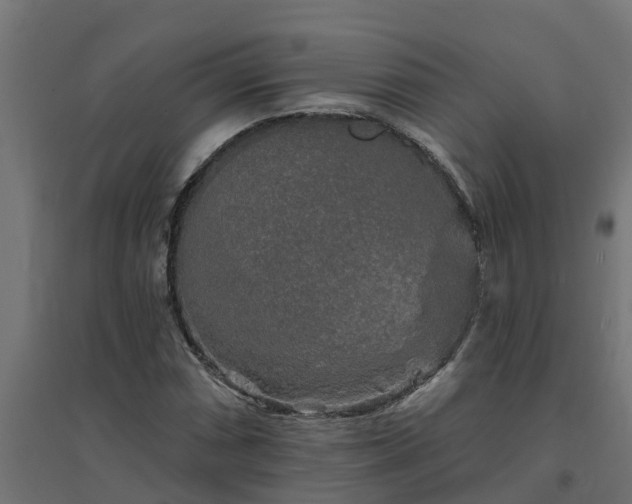 X0000094791066200711241356