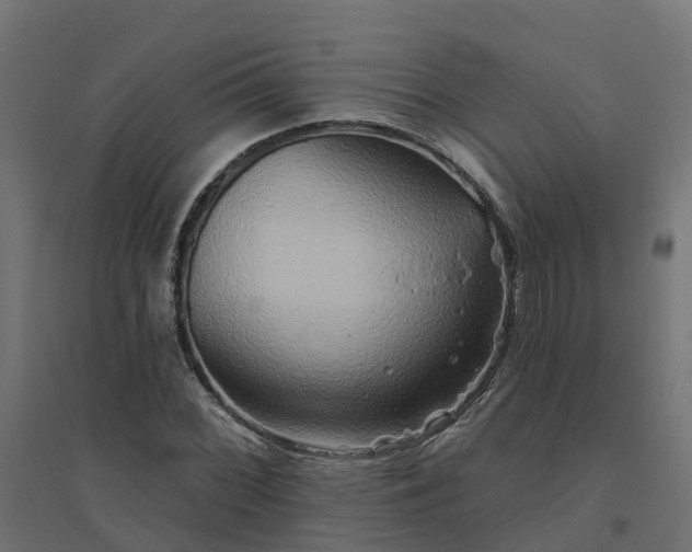 X0000094791068200711241356