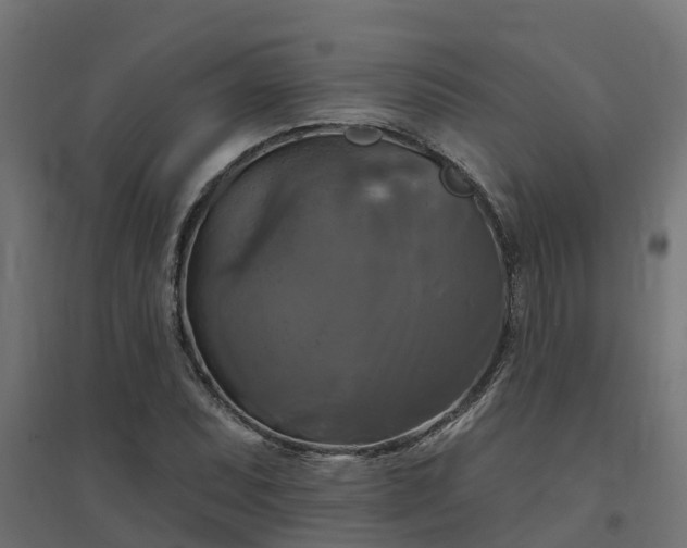 X0000094791071200711241356