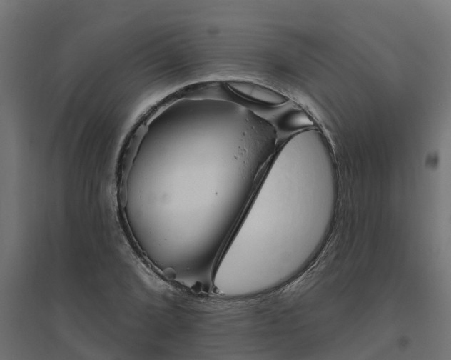 X0000094791072200711241356