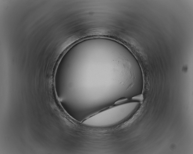 X0000094791073200711241356