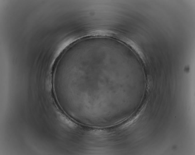 X0000094791075200711241356