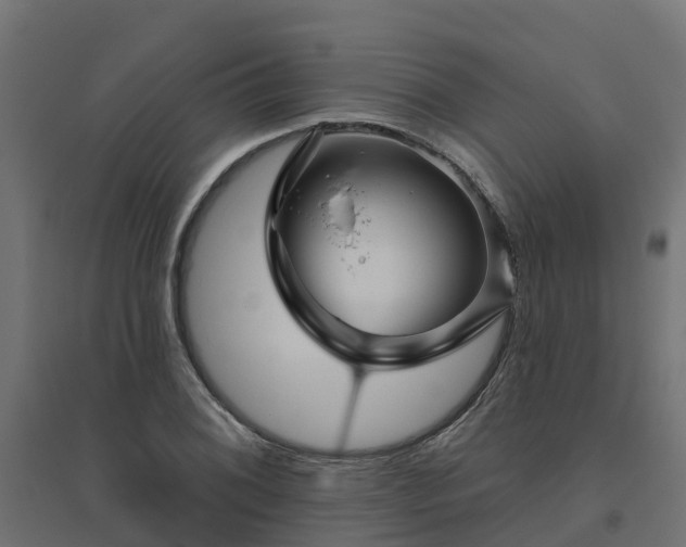 X0000094791076200711241356