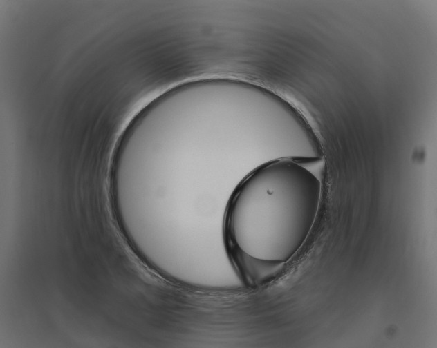 X0000094791077200711241356