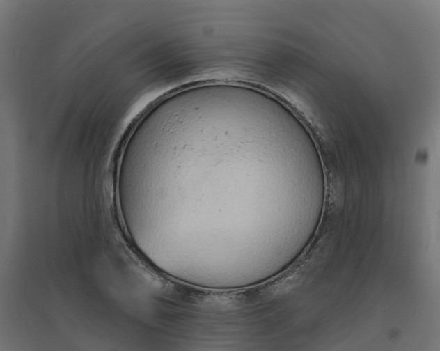 X0000094791078200711241356