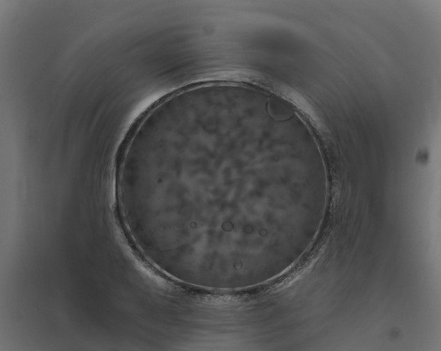 X0000094791079200711241356