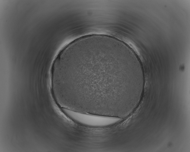 X0000094791080200711241356