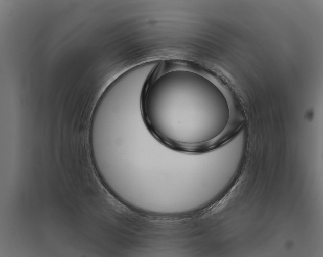 X0000094791081200711241356