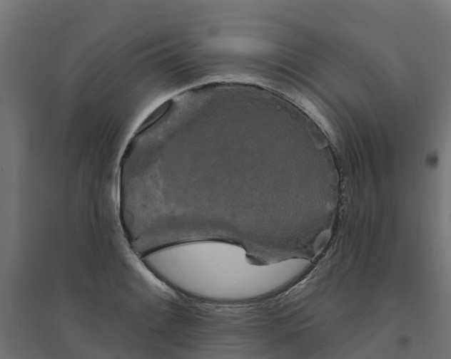 X0000094791084200711241356