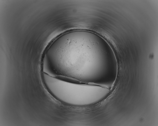 X0000094791085200711241356