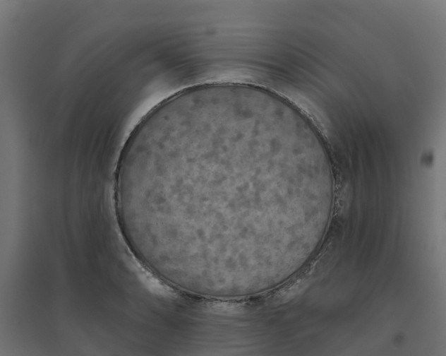 X0000094791086200711241356